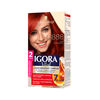 Tinte-3-Aceites-2-Tubos-Igora-Vital-Paquete-X1-Rubi-Apasionado-Rfi5-6-888-imagen-1