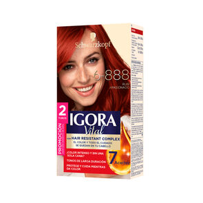 Tinte-3-Aceites-2-Tubos-Igora-Vital-Paquete-X1-Rubi-Apasionado-Rfi5-6-888-imagen