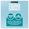 Listerine-Zero-Sin-Alcohol-Frasco-X-500mL-imagen-4