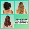 Shampoo-Fructis-Hair-Food-Garnier-Aloe-Vera-Hidratacion-Frasco-X-300Ml-imagen-4