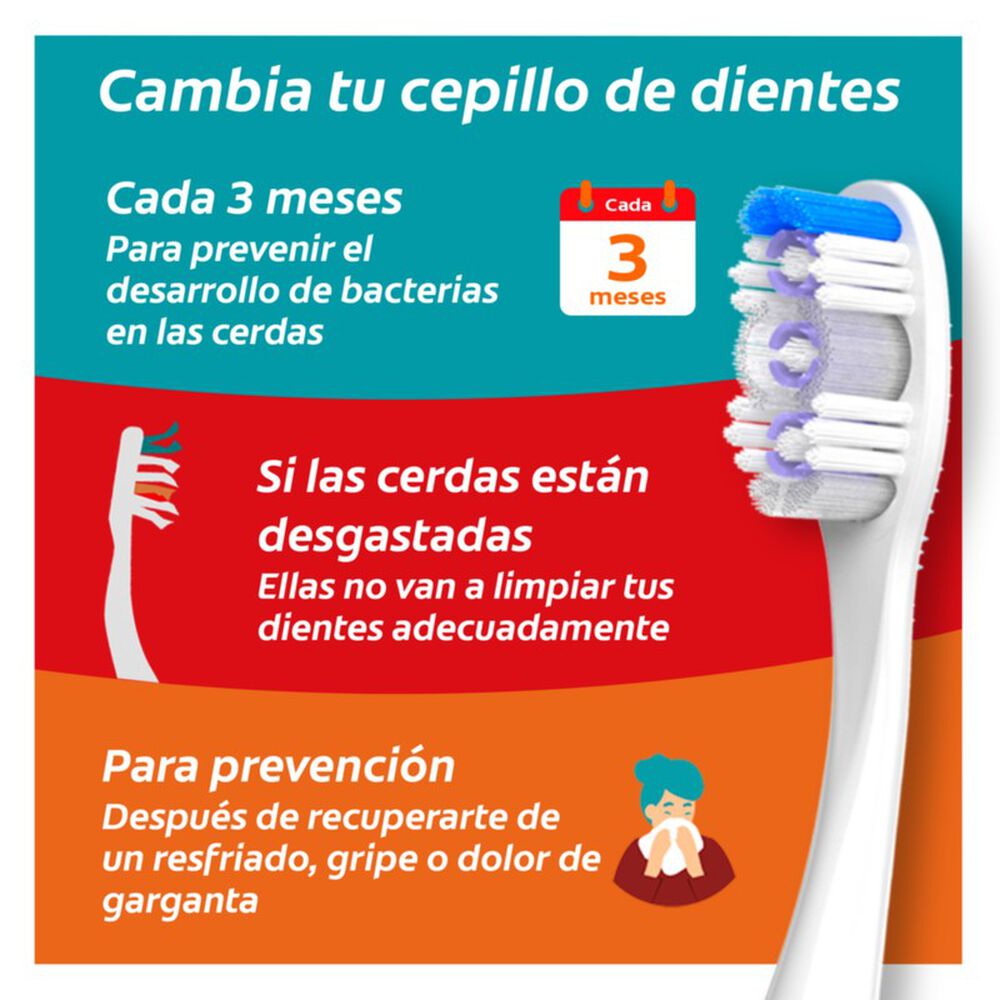 Cepillo-Slim-Soft-Antibacterial-Bli-X-2-Colgate-imagen-4