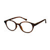 Gafas-Lectura-1.5-Ref-Vp-19-05-Sobre-X-1-V-Polak-Brown-Tone-imagen