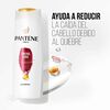 Shampoo-Conrol-Caida-Pantene-Frasco-X-400-Ml-imagen-2
