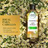 Shampoo-Chamomile-Herbal-Essences-Shiny-Blond-Frasco-X-400Ml-imagen-3