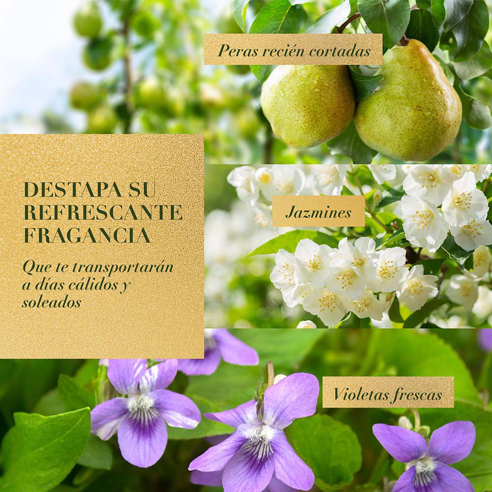 Shampoo-Chamomile-Herbal-Essences-Shiny-Blond-Frasco-X-400Ml-imagen-5