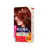 Igora-Vital-Tubos-Rf-6-88-Rubí-Caja-X-2--imagen-1