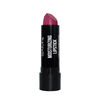 Labial-Humectante-Con-Filtro-Solar-Y-Vitamina-E-Samy-Barra-X-4Gr-N.-006-imagen-1
