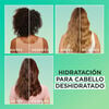 Acondicionador-Frutics-Garnier-Hair-Food-Aloe-Vera-Frasco-X-300Ml-imagen-4