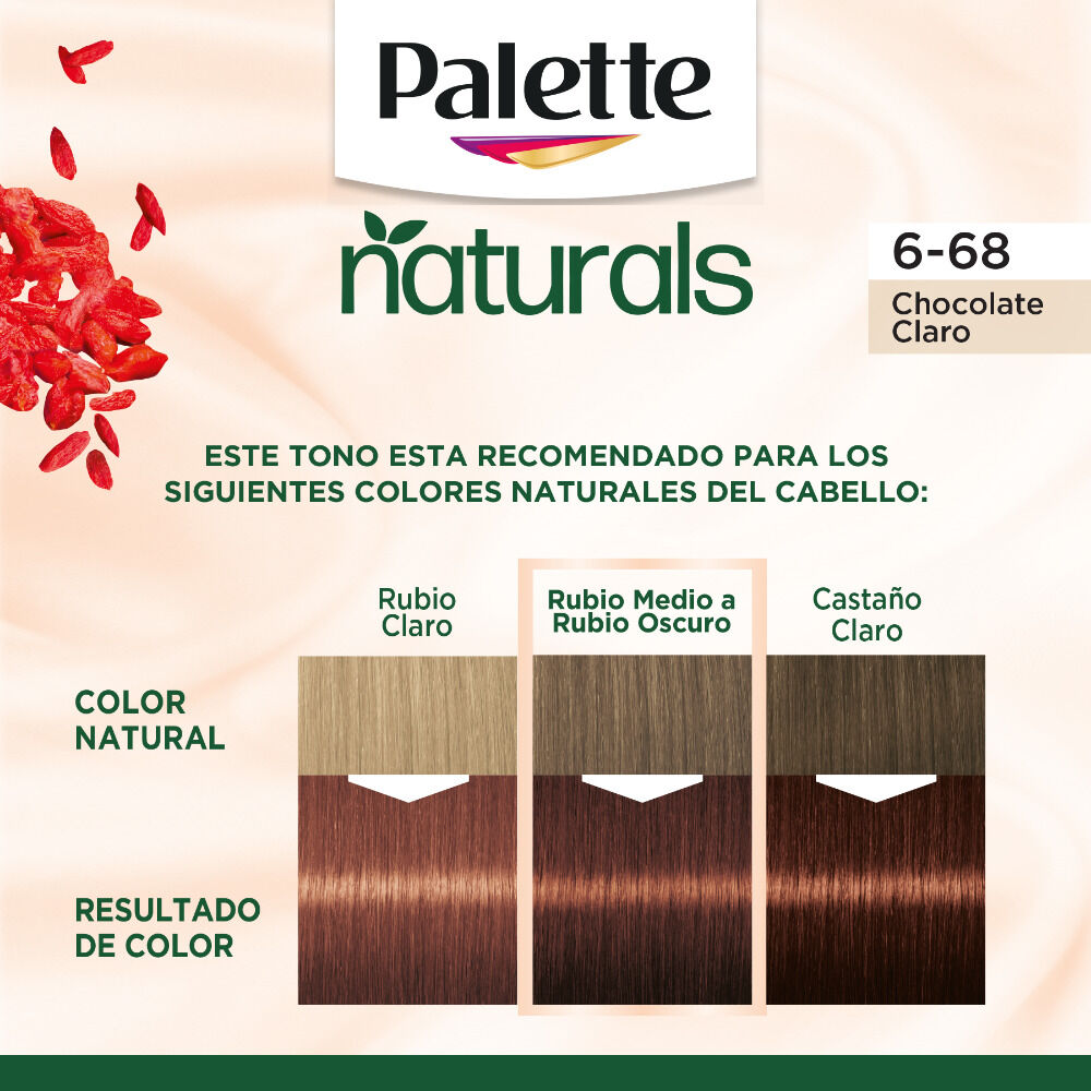 Tinte-Palette-Naturals-6-68-Chocolate-Claro-Sin-Amoniaco-X-1-Tubo-imagen-2