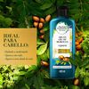 Acondicionador-Argan-Oil-Herbal-Essences-Frasco-X-400mL-imagen-3