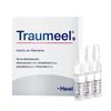 Traumeel-S-Solucion-Inyectable-Ampolla-X-2,2Ml-imagen