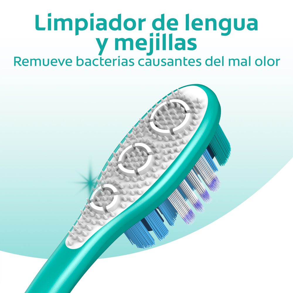 Promoción-2-Cepillos-360-+-Crema-Dental-75mL-Paquete-imagen-2
