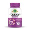 Colageno-Hidrolizado-Frasco-X-60-imagen