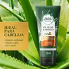Acondicionador-Real-Botanicals-Herbal-Essences-Aloe-Mango-Protege-Repara-Tubo-X-250Ml-imagen-3