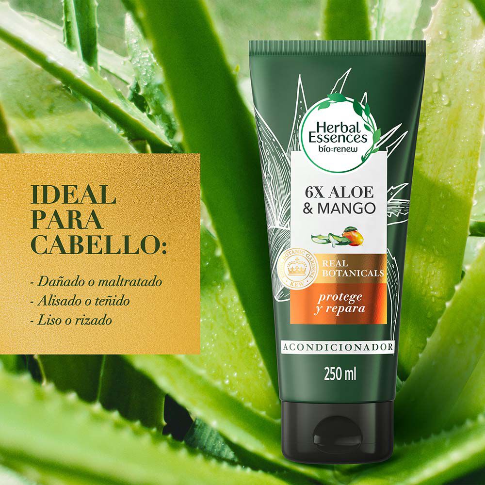 Acondicionador-Real-Botanicals-Herbal-Essences-Aloe-Mango-Protege-Repara-Tubo-X-250Ml-imagen-3