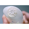 Promo-Desodorante-Rexona-Clinical-Clean-Scent-Paquete-X-2-Barra-X-48Gr-imagen-4