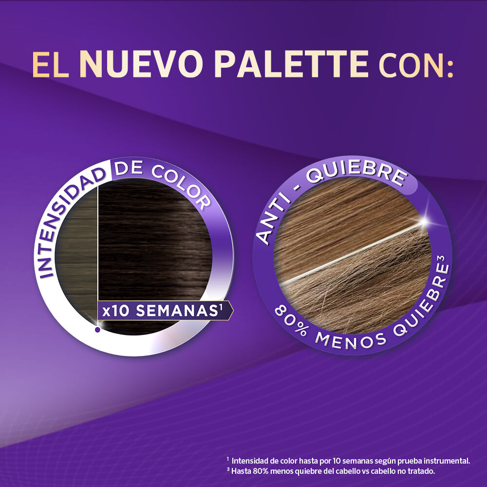 Palette-Color-Creme-5-0-Casta&ntilde;o-Claro-Caja-X-2-Tubos-imagen-2