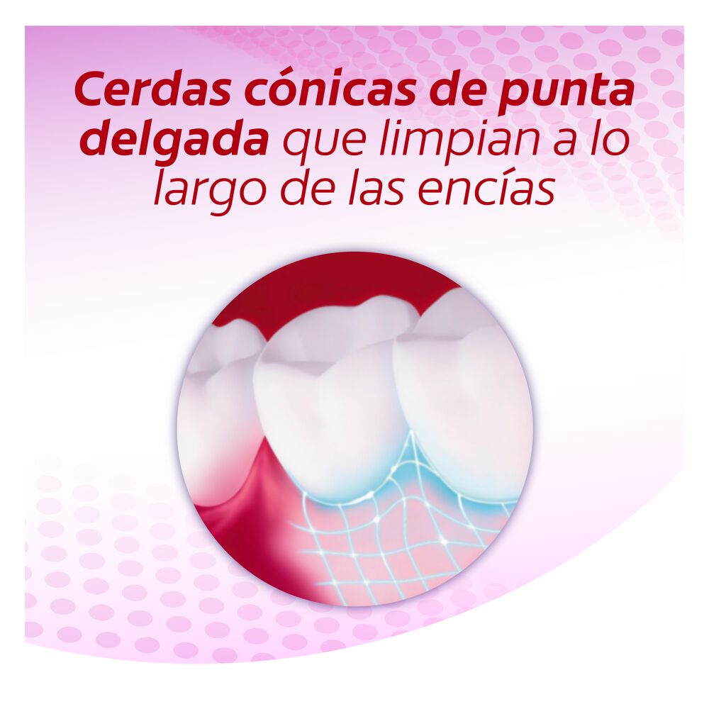 Cepillo-Dental-Encias-Therapy-Suave-Bli-X-2-Colgate-imagen-3