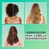 Tratamiento-Hair-Food-Garnier-Fructis-Aloe-Vera-Frasco-X-350Ml-imagen-2