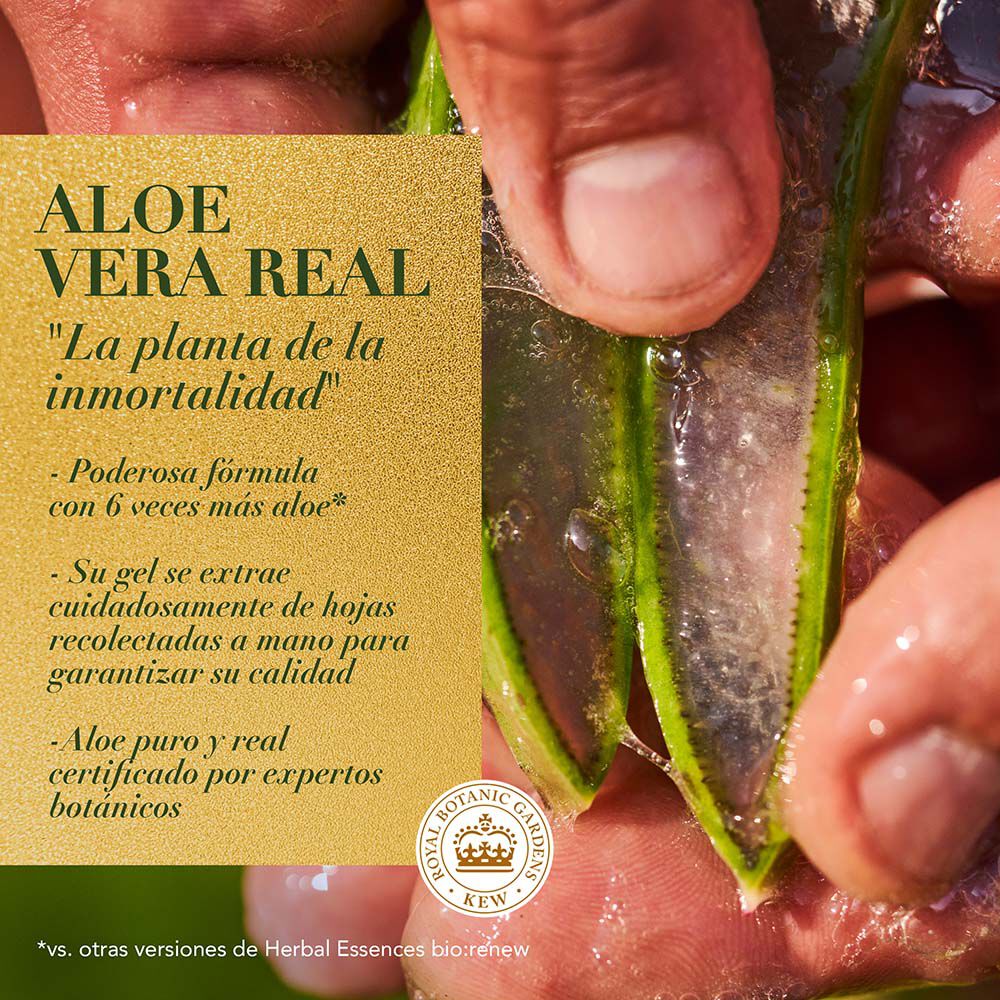 Acondicionador-Real-Botanicals-Herbal-Essences-Aloe-Mango-Protege-Repara-Tubo-X-250Ml-imagen-4