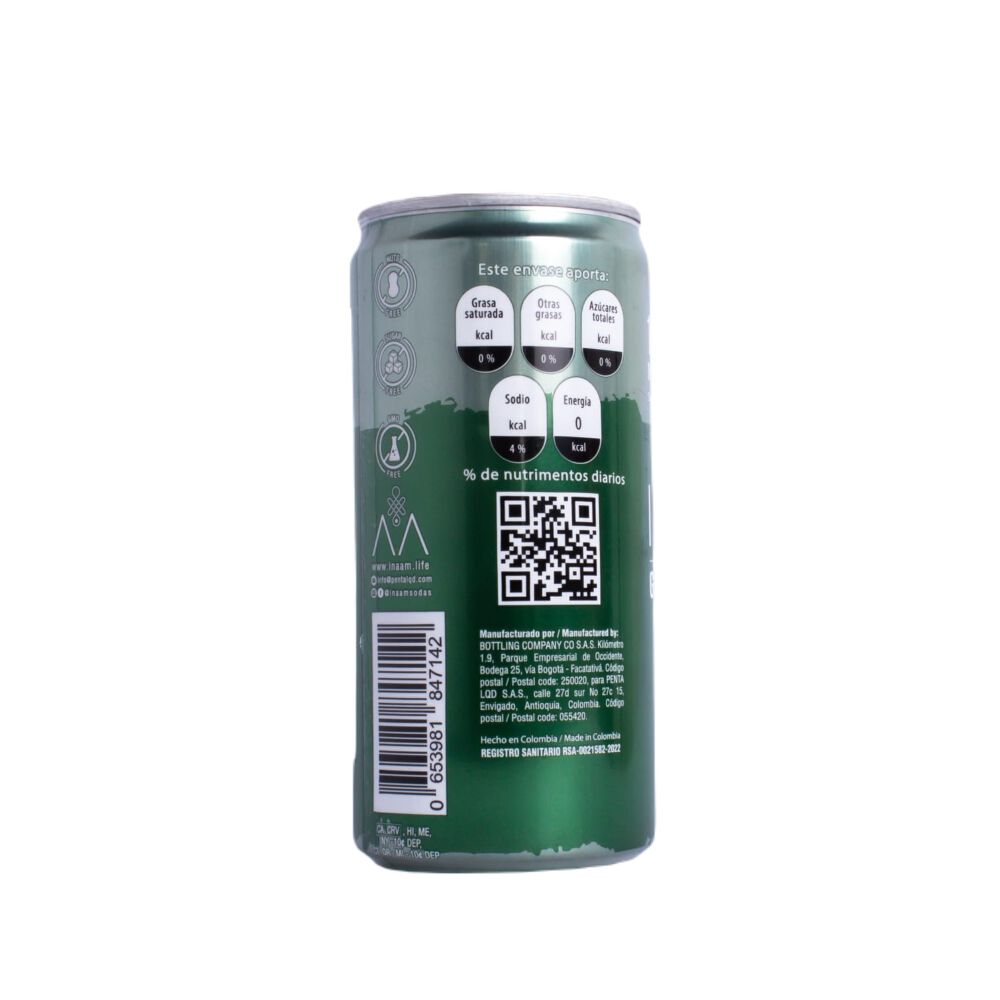 Bebida-Carbonatada-Inaam-Ginger-Soda-Premium-Mixer-Lata-X-269Ml-imagen-2
